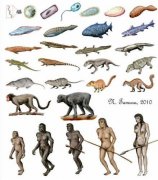 40亿年的生命进化史 从无生命开始