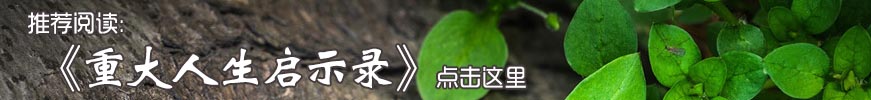 《重大人生启示录》,完整版,全文,在线,阅读,免费,txt,pdf,word,下载