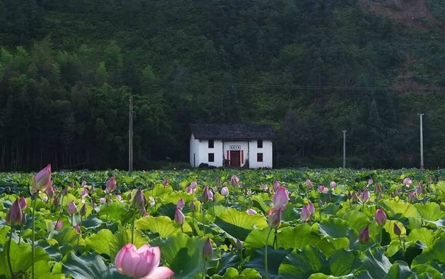 怎么去挽回一段破碎的感情