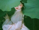 感情专家心里咨询