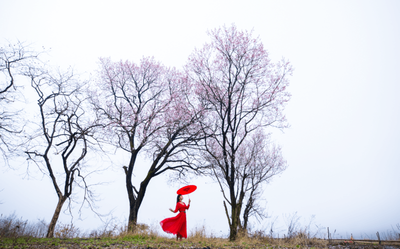 a55429620bb94a978f33b814ca630569