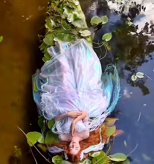 QQ截图20230831175805