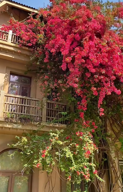 QQ截图20240510110951