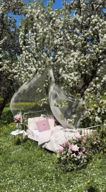 QQ截图20240527083506 QQ截图20240527083506