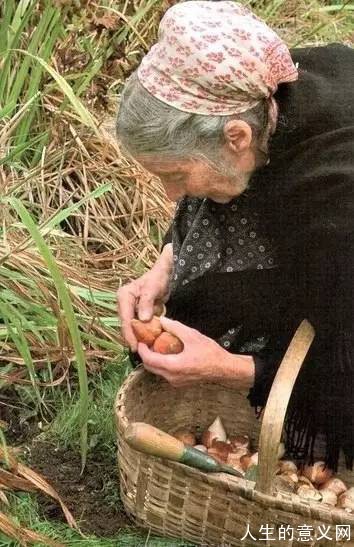勘称世界上最动人的隐士生活!