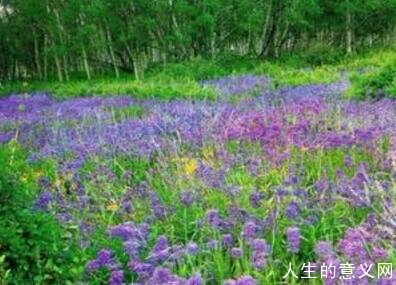 人生的意义与价值
