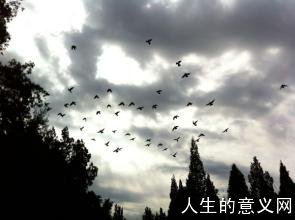 《我与地坛》的人生感悟