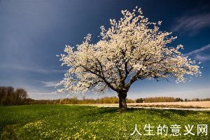 一个心灵贫乏的人,他看到的世界也必定是贫乏的
