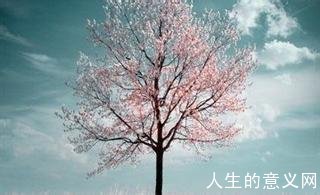 周国平人生哲理:寻求智慧的人生