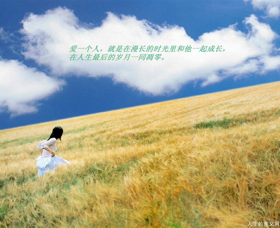关于人生意义的故事