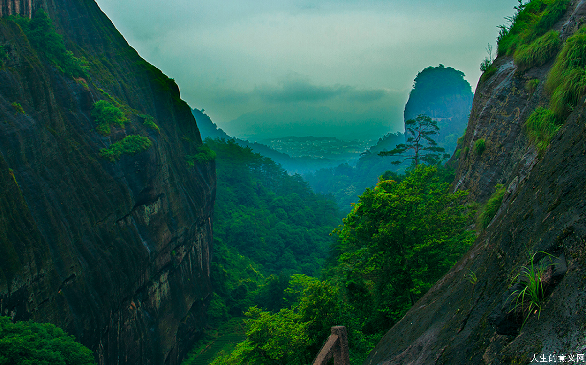 人生感悟的句子对爱的渴望对知识的探索和对人类苦难的难以抑制的怜悯