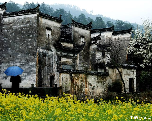 精神家园