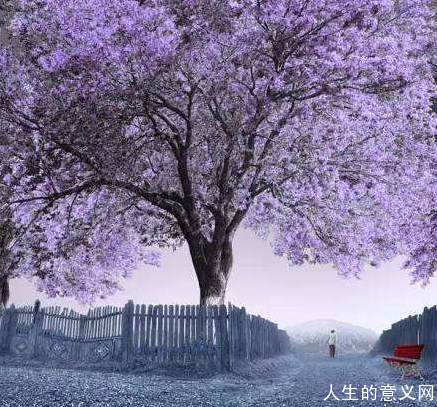 震撼心灵的哲理美文:还生命以过程有所敬畏