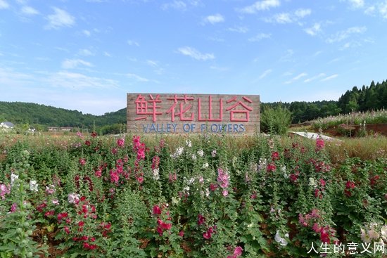 精神家园