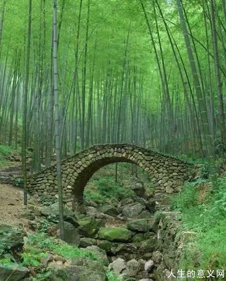 北大教授胡军解读“未知生,焉知死?”