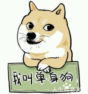 中国正迎来单身潮,单身男女人数已近2亿(中国有多少单身、单身潮)