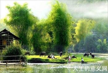 我一生最爱的是秋天、清风、河水、故乡