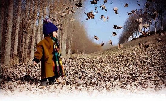 《重大人生启示录》作者收藏的图片1
