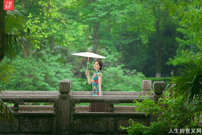 生活感悟经典句子|在熟悉的人群里孤单了,不妨去异乡看看花
