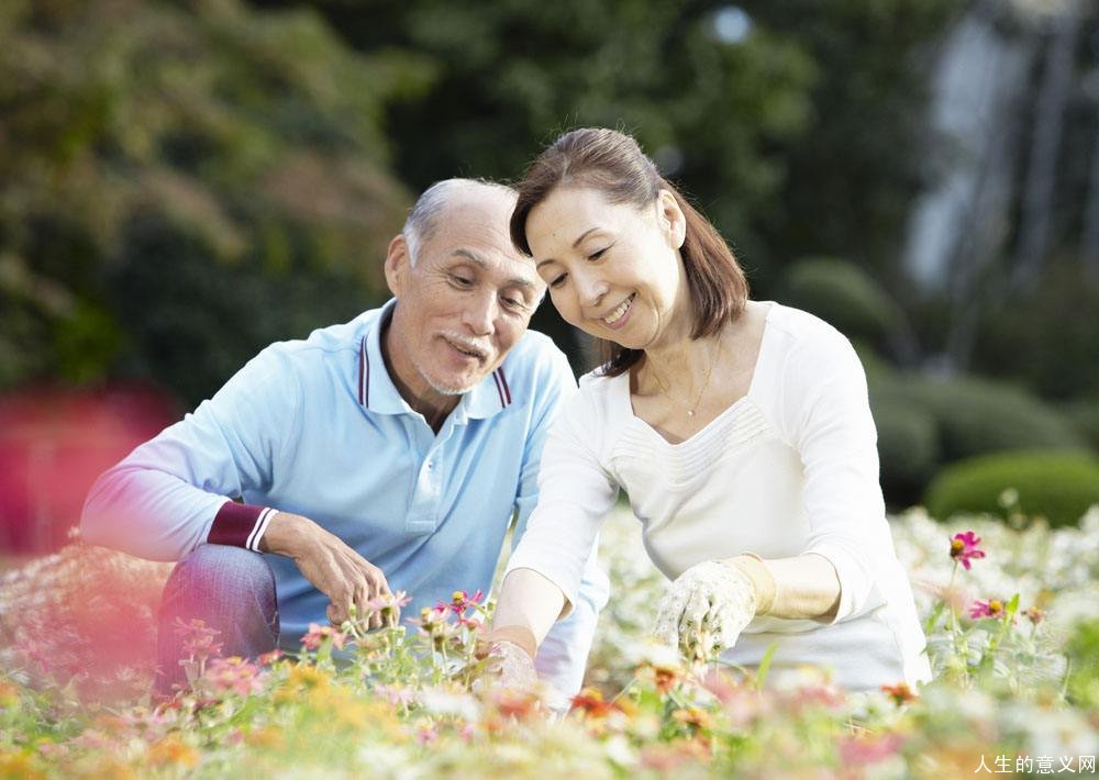 60岁的人生感悟| 60岁时人生新的黄金时代