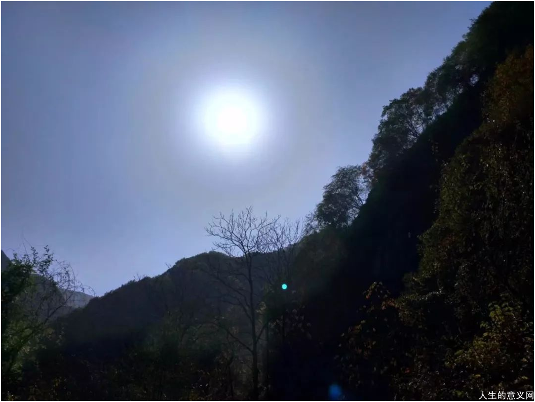 等我老了,隐居山野,一泉,一茶,一曲