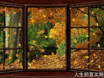 为什么过了30岁后开始感到时间过得飞快?