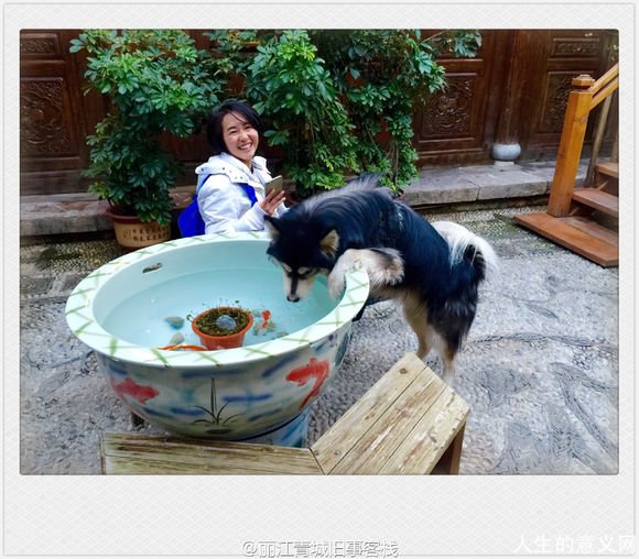 五年,一个人走完川藏线、滇藏线,最后旅居在了丽江