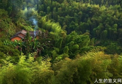 故乡情结|故乡在竹海深处,诗意栖居