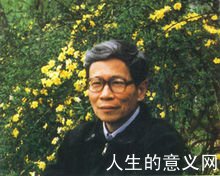 飞白