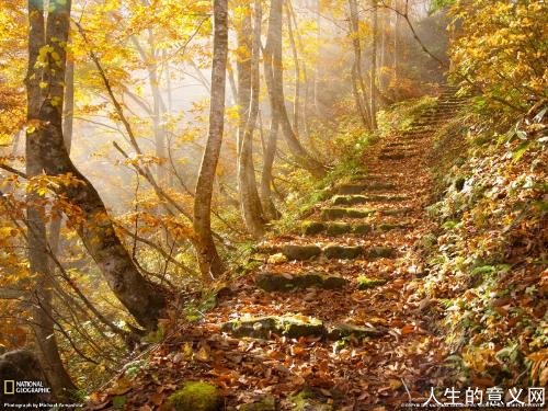 乡愁情结|这些旧时故乡照片刺痛了我的心