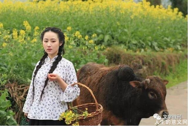 乡愁情结