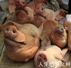 你是愿意做痛苦的哲学家还是快乐的猪?
