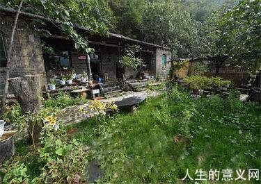 记忆里的春气氤氲