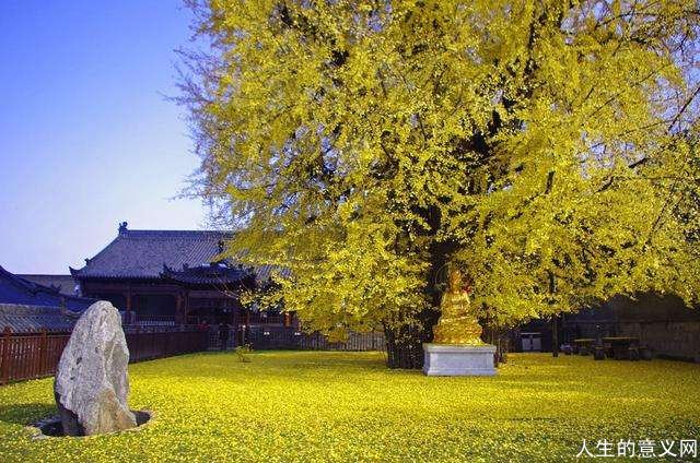 最美秋天