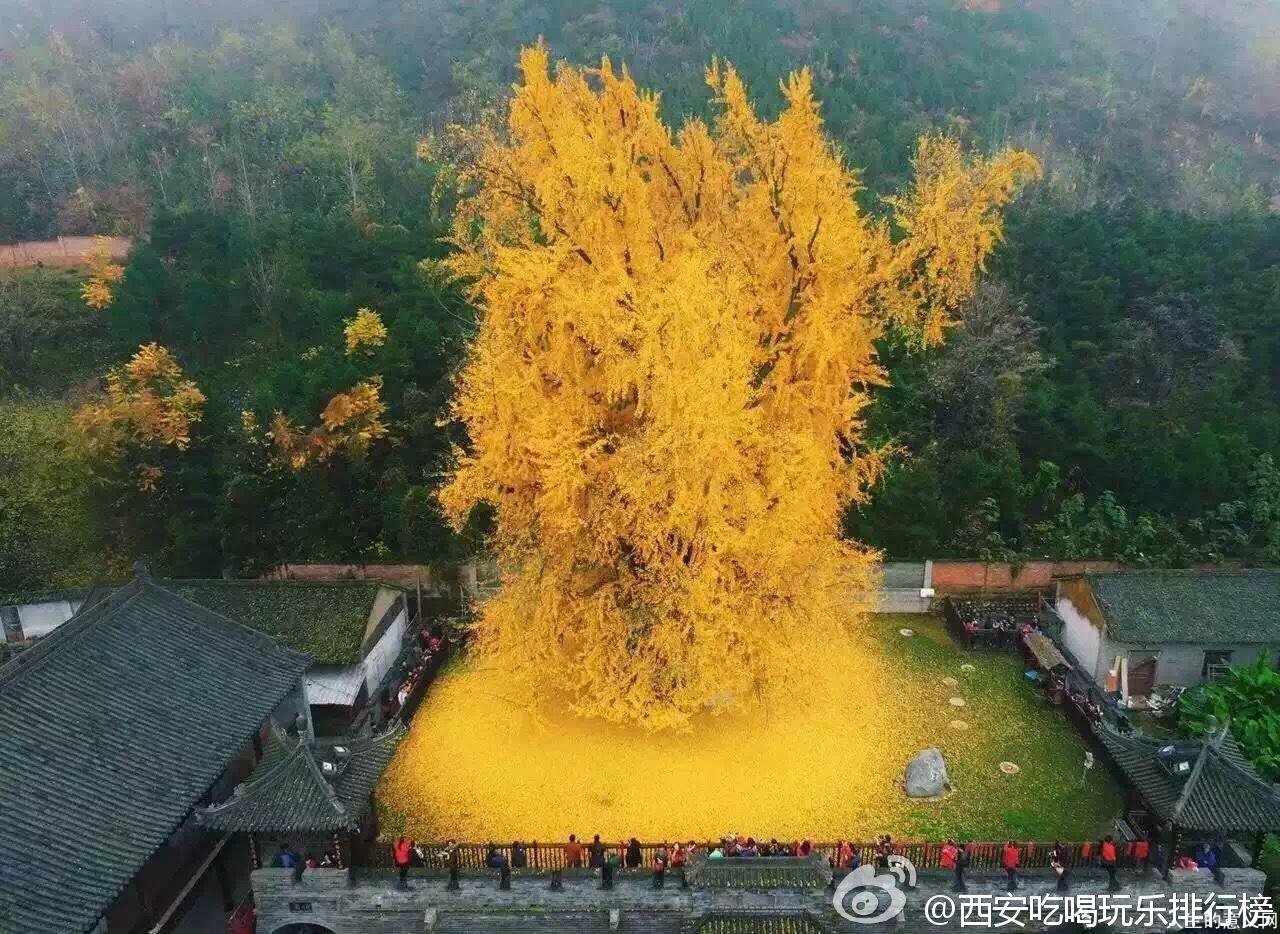 最美秋天