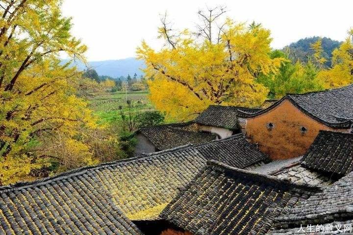 最美秋天
