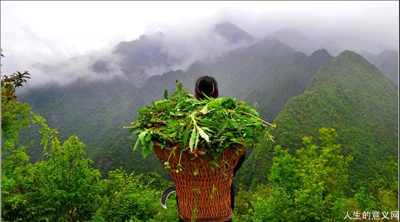 《重大人生启示录》作者龚咏雨对子女的教育态度