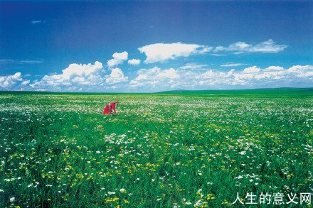 姐姐 被远方的花海淹没
不曾挣扎