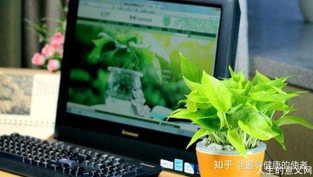 电脑辐射,摆放植物有用吗?无用!