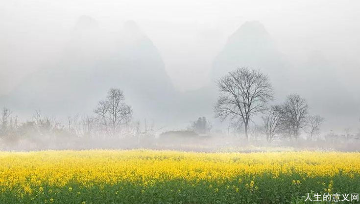 春气淹没了竹林,湖水和村庄