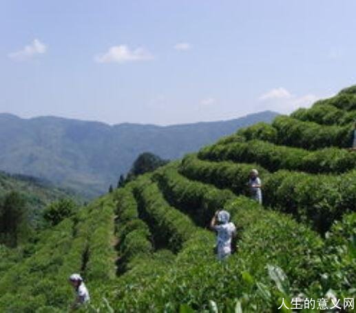 我们上山 心情很好