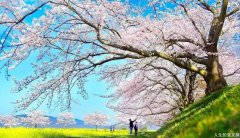 全国 自杀心理危机干预 公益热线电话